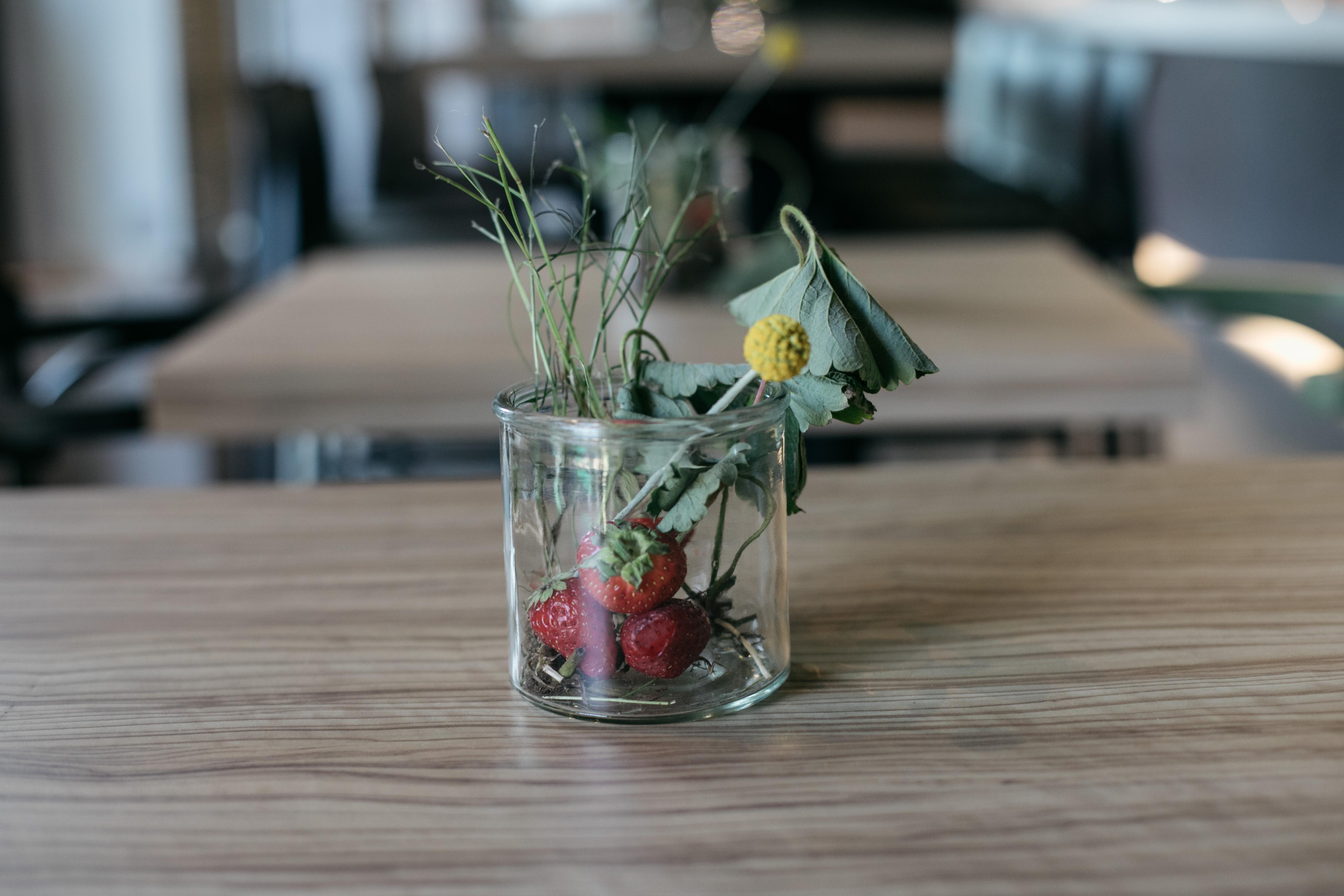 Aloisi Hotel Lecce